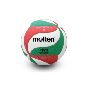 Pelota Voley MOLTEN 5000